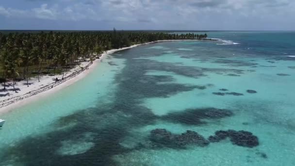 プンタカナ ドミニカ共和国の美しい水の海 ビーチ 自然の素晴らしい空中ドローン画像 — ストック動画