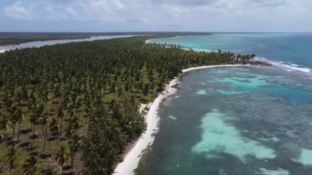 Erstaunliches Drohnenbild Des Meeres Des Strandes Und Der Natur Der — Stockvideo