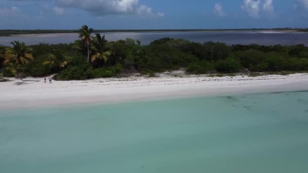 Niesamowity Widok Lotu Ptaka Morze Plażę Przyrodę Pięknych Wód Punta — Wideo stockowe