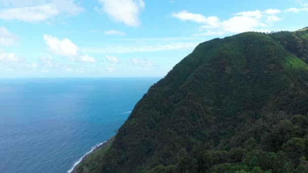 Luchtfoto Van Adembenemende Natuur Steile Kustlijn Van Azoren — Stockvideo