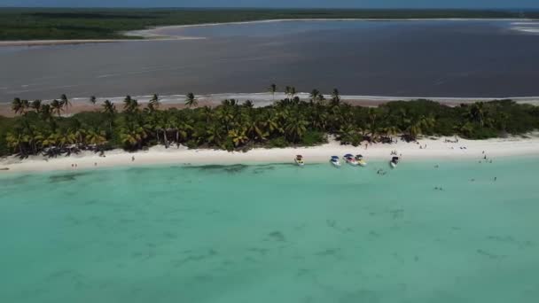 多明尼加共和国蓬塔卡纳美丽水域的海洋 海滩和自然的令人惊奇的无人驾驶飞机图像 — 图库视频影像