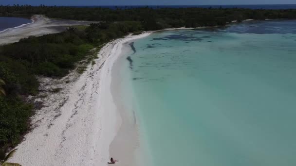 多明尼加共和国蓬塔卡纳美丽水域的海洋 海滩和自然的令人惊奇的无人驾驶飞机图像 — 图库视频影像