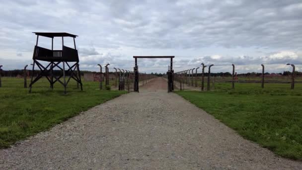 Feldweg Zwischen Stacheldrahtzäunen Mit Wachturm Auschwitz Birkenau Polen Weitschuss — Stockvideo