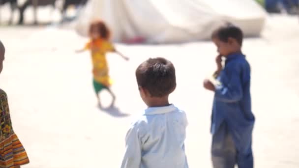 Trzech Małych Chłopców Stojących Zewnątrz Słoneczny Dzień Mała Dziewczynka Biegająca — Wideo stockowe