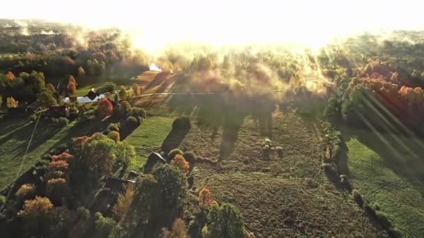 在一个阳光明媚的雾蒙蒙的早晨 空中无人驾驶飞机在田园诗般的乡间上空盘旋 草地和绿林 — 图库视频影像