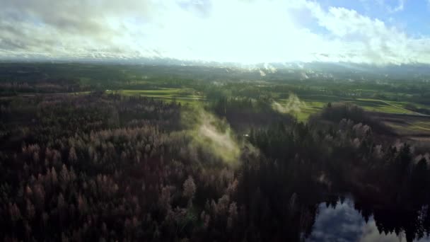 Misterioso Vuelo Aéreo Sobre Bosques Verdes Con Niebla Nubes Flotando — Vídeo de stock