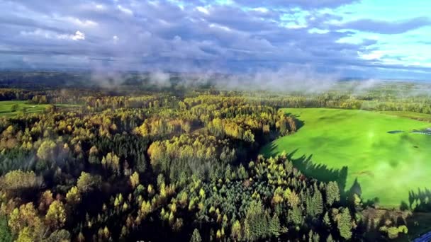 Latanie Lotnicze Idyllicznym Malowniczym Krajobrazem Lasem Łąkami Pochmurny Dzień — Wideo stockowe