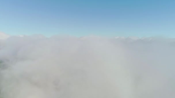 Élevage Dessus Nuages Vue Aérienne Paysage Nuageux Horizon Ciel Bleu — Video