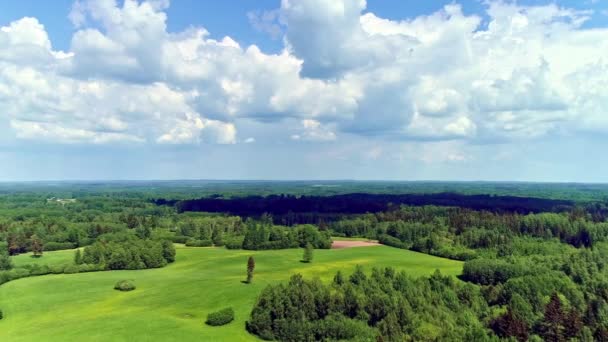 Drone Flyover Grönska Landskap Lummiga Gröna Fält Omgivna Skog Naturmiljö — Stockvideo