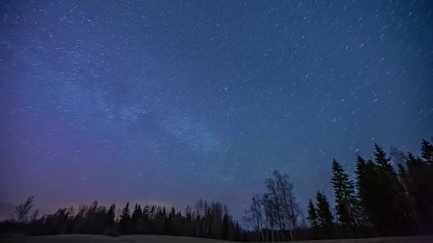 Astrofotografi Time Lapse Starry Sky Natten Över Alpin Skog — Stockvideo