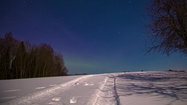 夜空中无叶树木和雪地后面的星星和北极光的时间流逝 冬天美丽的自然景观 — 图库视频影像