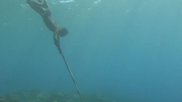 Fiskare Skjuter Fisk Skönheten Undervattensvärlden Koncept För Fiskares Livsstil Kendari — Stockvideo