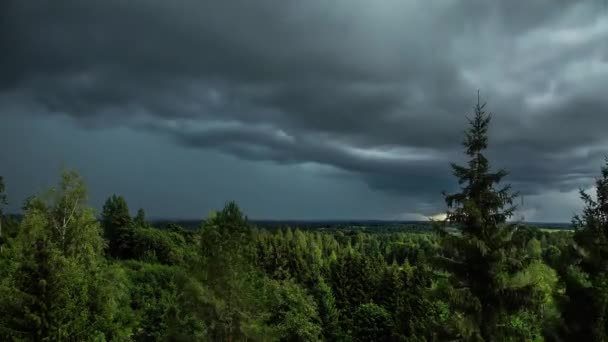 Yeşil Kozalaklı Kozalaklı Ormanın Üzerinde Kara Bulutların Dramatik Durağan Zaman — Stok video