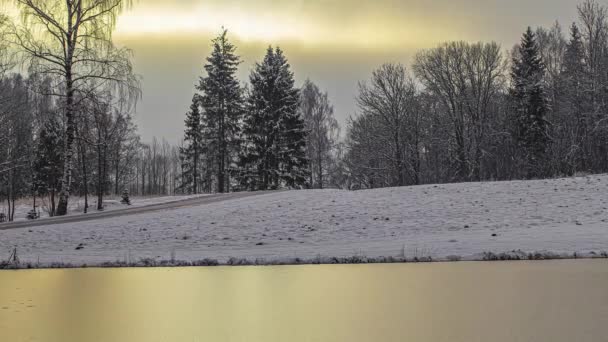 Красивая Фотография Озера Рядом Заснеженным Ландшафтом Облачный День Зимнее Время — стоковое видео