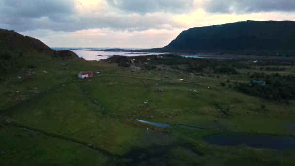 Aérea Campos Agrícolas Noruegos Lofoten Lago Justadvatnet — Vídeos de Stock