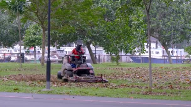 Man Riding Lawn Mower Cutting Grass Park Changi Beach Singapore — Stock Video