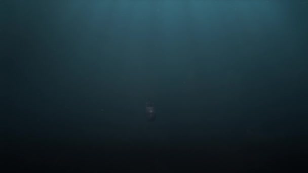 潜水艇被大鱼的巨兽追杀的水下镜头 — 图库视频影像