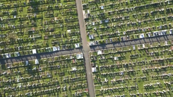Büyük Bir Mezarlıkta Mezarlıklar Şebeke Düzeni Kesişen Yollar Havadan Yukarıdan — Stok video