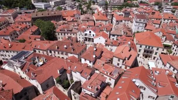 Κτίρια Παλιάς Πόλης Κοτόρ Μαυροβούνιο Εναέρια Προβολή Του Δρομέα — Αρχείο Βίντεο