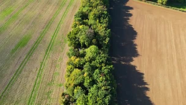 Ujęcie Drona Kłamstwa Drzew Które Ukrywa Starą Opuszczoną Linię Kolejową — Wideo stockowe