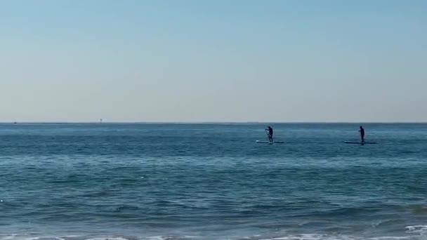 夏の日に大西洋で競技パドルサーフィンやアップのパノラマビュー ポルトガルビーチ — ストック動画