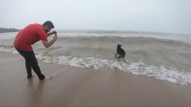 Alman Çoban Köpeği Sahilde Dalgaların Üzerinde Zıplıyor Köpek Insan Dostluğu — Stok video
