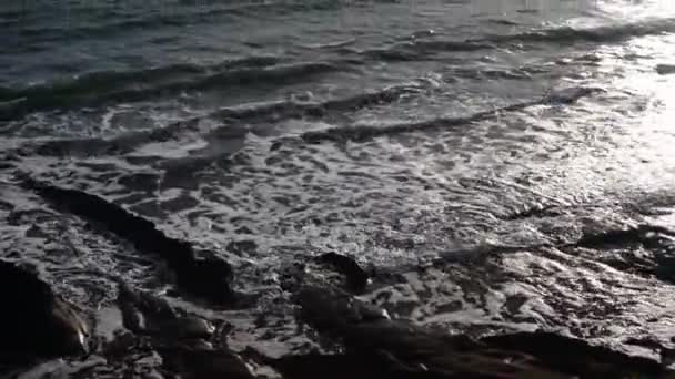 Malé Vlny Valí Břeh Majestátní Sopkou Rangitoto Pozadí Ruční Sklopení — Stock video