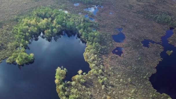 Чудовий Краєвид Болотяний Ландшафт Озерами Сонячний Осінній День Dunika Торф — стокове відео