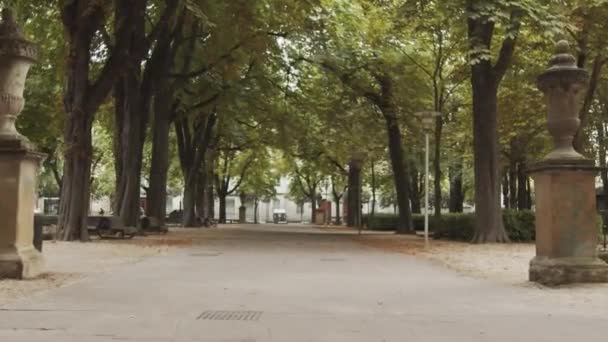Nyomkövető Felvétel Egy Park Bejáratáról Fákkal Levelekkel Padlón Autókkal Távolban — Stock videók