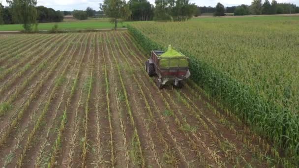 Traktor Siláží Přípojném Vozidle Poli Letecké Přiblížení — Stock video