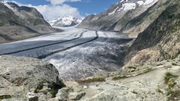 世界遺産のベッタメルプ アレッチェ アリーナでのアルエッチュ氷河の撮影 — ストック動画