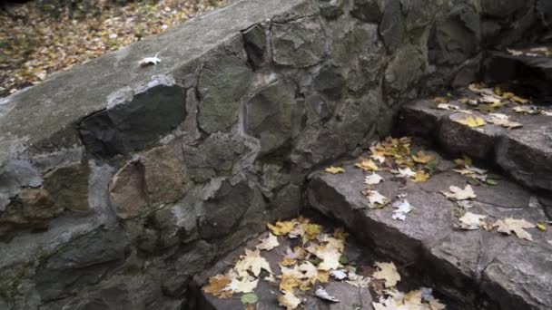 Zbliżenie Widok Wykonania Kamiennych Schodach Znajdujących Się Pozostałościach Majątku 1920 — Wideo stockowe