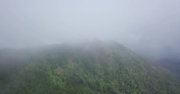 Zdjęcie Lotnicze Chmurnego Wzgórza Lasu Filmiki Tropikalne Klipy Przyrodnicze — Wideo stockowe