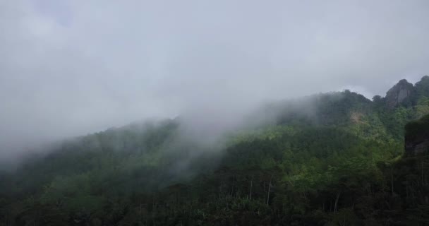 Drone Video Hill Foggy Weather Hills Overgrown Dense Trees Rain — Stock Video