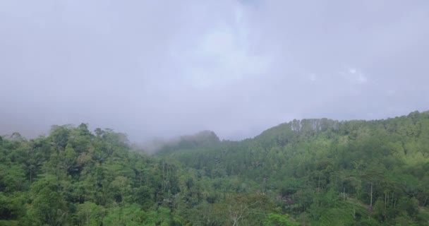 森の中を進む霧の前方ドローン映像 熱帯国の密な熱帯雨林と丘 空は霧です インドネシア メノア — ストック動画