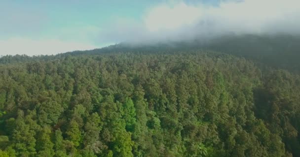 Avanti Drone Filmato Della Foresta Con Nuvole Muove Esso Foresta — Video Stock