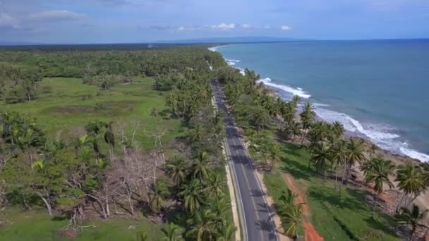 Droga Między Palmami Wzdłuż Oceanu Malecon Nagua Dominikana Przód Powietrza — Wideo stockowe