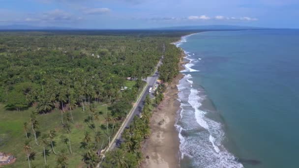 Vista Aérea Nagua Local Construção Mar Caribe Com Campo Palmeiras — Vídeo de Stock
