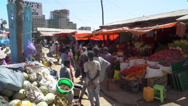 Různé Záběry Místního Trhu Okraji Addis Abeby Etiopii — Stock video