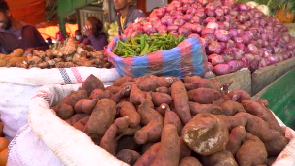 Διάφορα Πλάνα Τοπικής Αγοράς Στα Περίχωρα Της Αντίς Αμπέμπα Αιθιοπία — Αρχείο Βίντεο