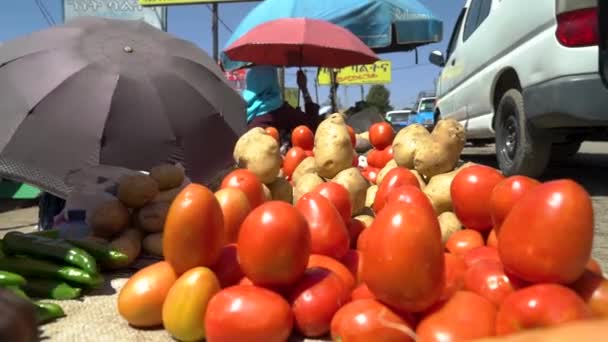 埃塞俄比亚亚的斯亚贝巴市郊一个地方市场的各种镜头 — 图库视频影像