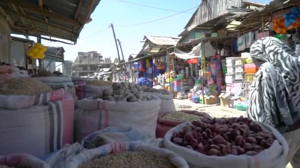 Verschillende Opnamen Van Een Lokale Markt Buitenwijken Van Addis Abeba — Stockvideo