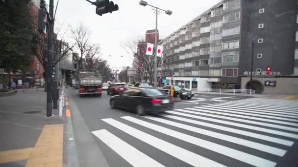 Straßenaufnahmen Ginza Viertel Tokio Einem Autofreien Wochenende Tokio — Stockvideo