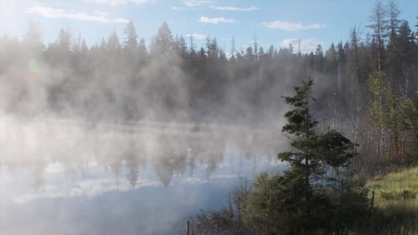 Peaceful Boreal Forest Morning Fog Rises Glassy Calm Pond Water — Vídeo de stock