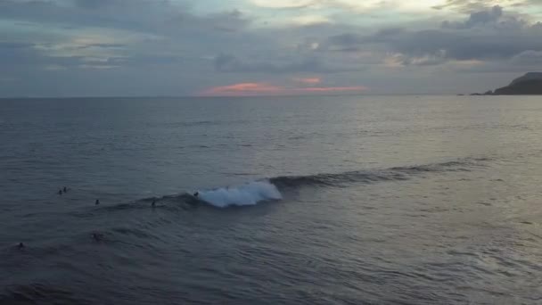 Vista Aerea Come Surfisti Cavalcare Onde Oceaniche Pausa Riva Tropicale — Video Stock