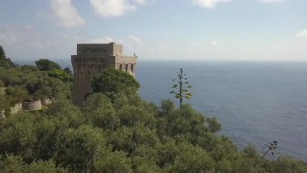 Människan Sitter Toppen Turist Utsiktstorn Torre Fossa Papa Italien — Stockvideo
