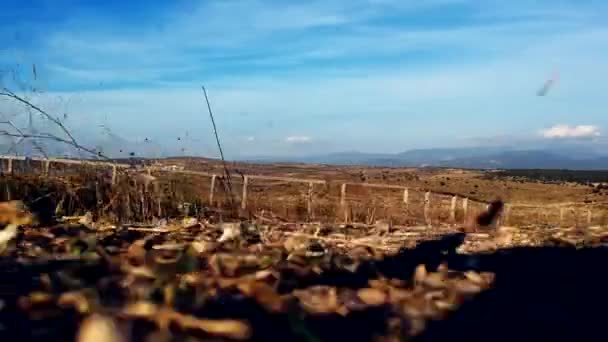 昆卡莫亚广阔而开阔的土地上的着陆镜头 踢起了干枯的杂草 — 图库视频影像