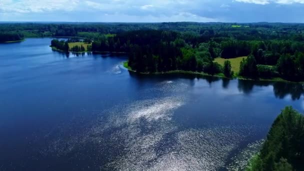 夏季空中飞越平静的湖面 水面反射阳光 被农村森林景观环绕 — 图库视频影像