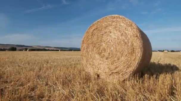 Okrągłe Siano Odchodzi Świeże Zbiorów Polu Anglii Słoneczny Upalny Dzień — Wideo stockowe