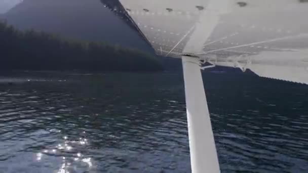 Wasserflugzeug Hebt Vom Natursee Passagierblick Auf Flügel Und Strebe — Stockvideo